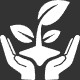 Environmentally Friendly Solutions